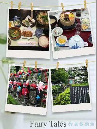 ʮ�������˶��� | ������ʱ�ķ������Ÿ��տ���