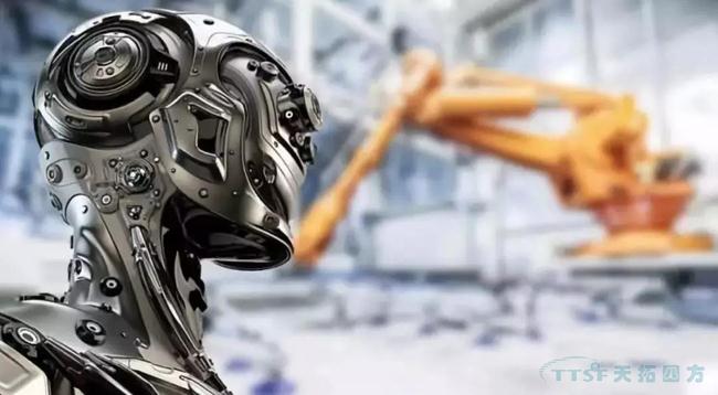 ������ʱ����|2019���й����������ʮ������Ҫ����